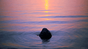 Water Rock GIF by Living Stills