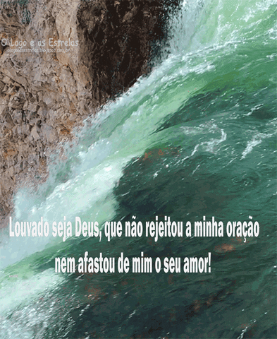 carinhoseluxogmailcom  GIF