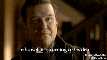 season 3 wolf GIF by Showtime