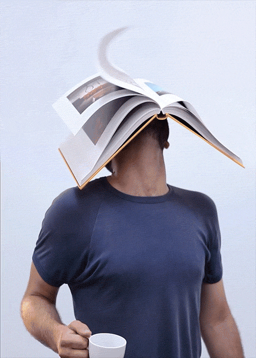 xaviera  GIF