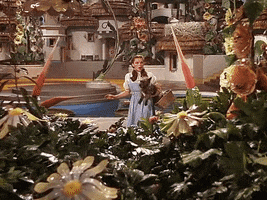 Wizard Of Oz Quote GIF by Top 100 Movie Quotes of All Time