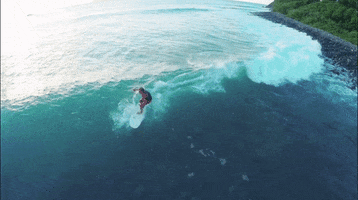 surf surfing GIF by David