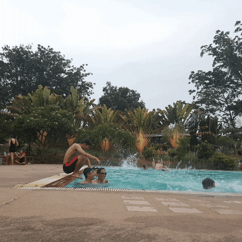 vine playback GIF