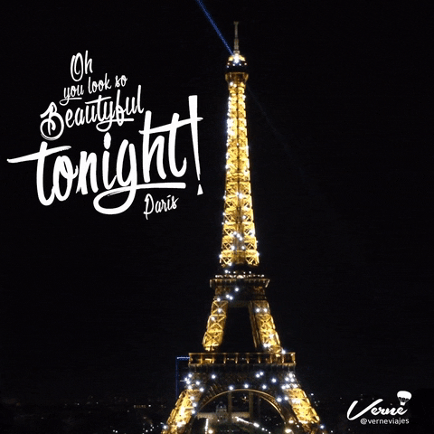 Vrne travel paris trip viajes GIF
