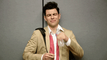 Max Greenfield Schmidt GIF by New Girl