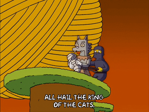 All-hail-the-king GIFs - Get the best GIF on GIPHY