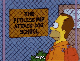 Season 3 Wire Fence GIF by The Simpsons