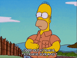 angry homer simpson GIF
