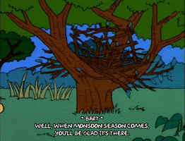 season 9 trees GIF