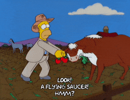 homer simpson cow GIF