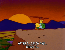 Season 3 Sunset GIF by The Simpsons
