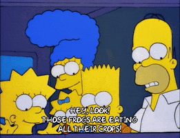 200.gif?cid=fc005b0895746215680f646ffffbe29e622809792748004e&rid=200.gif&ct=g