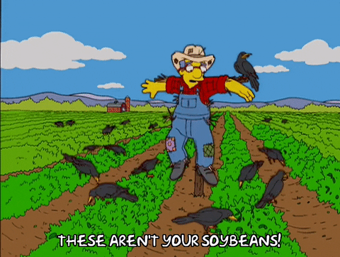soybeans meme gif