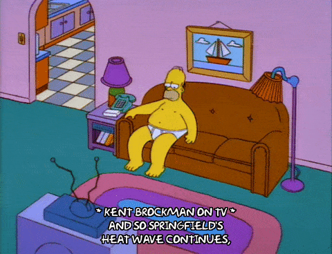 Springfield's meme gif