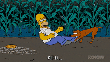 200.gif?cid=fc005b08e24625641e42dff41e81f32f782e1cddf13de887&rid=200.gif&ct=g