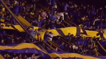 Boca Juniors GIF by Tomi Ferraro, Sportz