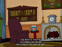 200.gif?cid=fc005b083cd022f5bff04091334003349aa971981ef74324&rid=200.gif&ct=g