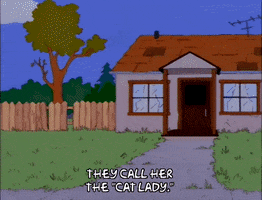 cat lady episode 21 GIF