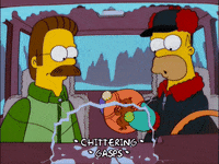 Homer Simpson Car Gif Find Share On Giphy