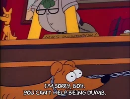Simpsons - I'm sorry boy, you can't help being dumb. Desculpa garoto, você não consegue evitar de ser burro.