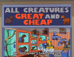 200.gif?cid=fc005b08ad73812a1cf3897a5b630fb78e3db846c9730280&rid=200.gif&ct=g