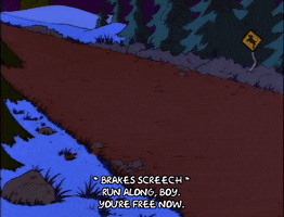 200.gif?cid=fc005b080c9ce032df497191a4c79de58ba10068eaae2d5a&rid=200.gif&ct=g