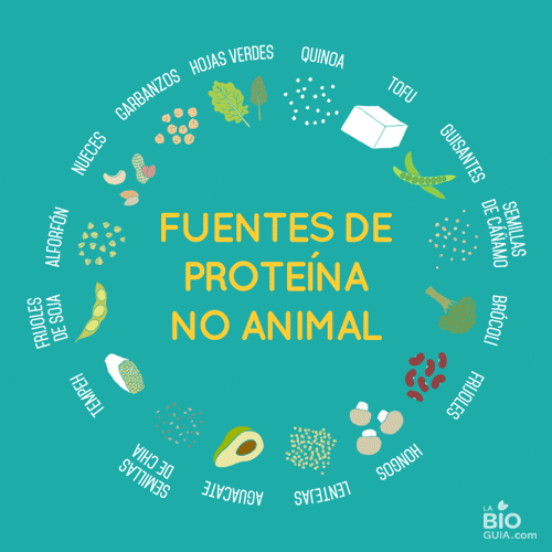 la-bioguia vegan protein GIF
