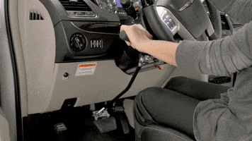 ddelie  GIF