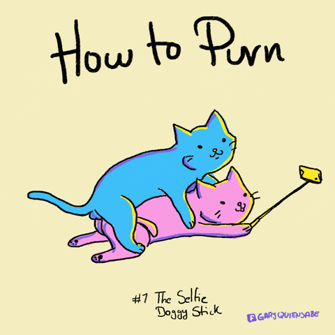 garyquiensabe cat cats selfie kitties GIF