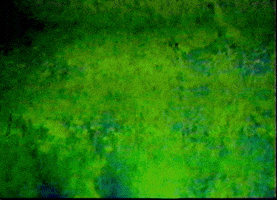 Glitch Artist GIF by michaelworthy