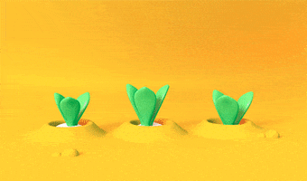 Food 3D GIF by cecy meade