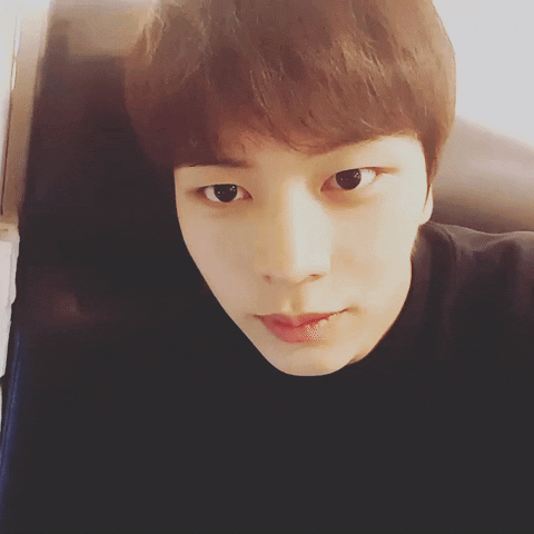 ick  GIF