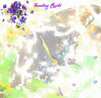 kevinschobertkio  GIF