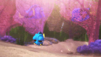 finding dory GIF by Disney/Pixar's Finding Dory