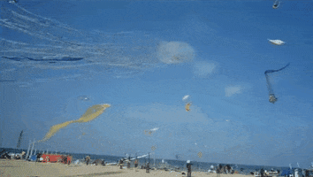 Kite Jellyfish GIF