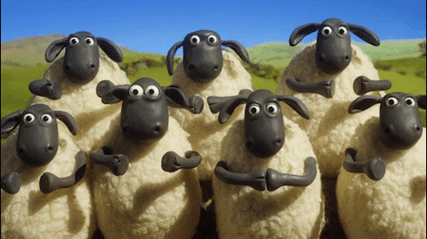 Pohyblivá animace s tleskajícím stádem oveček vyrobených z plastelíny. 