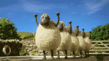 movie about sheep dog running sheep off clif