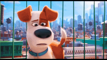 edwin-valdez life the pets max GIF
