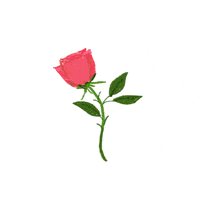 Illustration Love GIF by Denyse