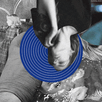 collage GIF by Passch
