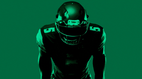 college football GIF by USF Athletics - Find & Share on GIPHY