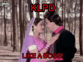 crackpot like a boss bj sridevi nagina GIF