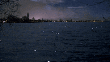 water night GIF by Living Stills