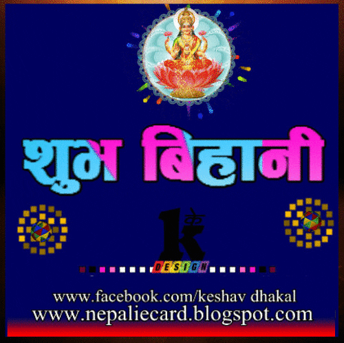 keshav  GIF