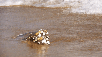 giorgossymeonidis  GIF