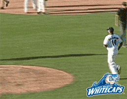baseball win GIF by West Michigan Whitecaps 