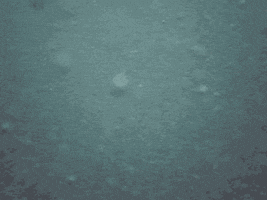 water sea GIF by Leandro Estrella