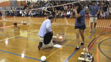 mayasugarman  GIF