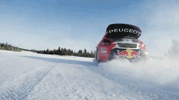 car drifting GIF by Red Bull