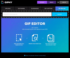 GIF by How To Giphy